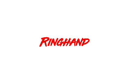 Ringhand Zimmerei und Holzbau GmbH